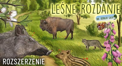 Leśne Rozdanie: Na Skraju Lasu