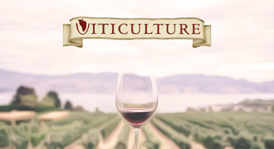 Viticulture - polska edycja