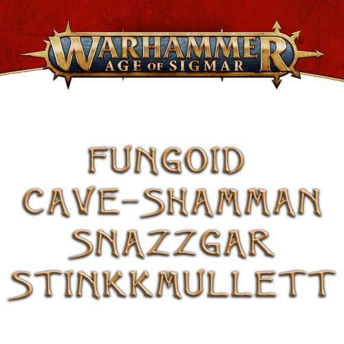 Warhammer Age of Sigmar - Fungoid Cave-Shaman Snazzgar Stinkmullett